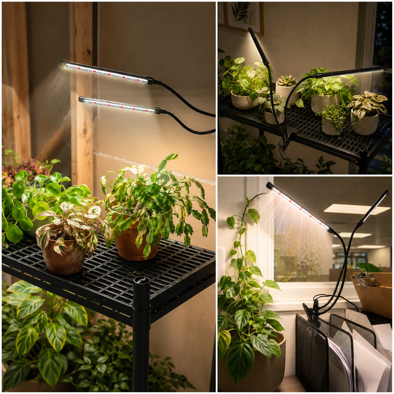 COSJM Grow Lights for Indoor Plants, 84 LEDs Full Spectrum White Red Clip Plant Growing Lamp with 3/9/12H Auto Timer, 10 Dimmable Levels, 3 Switch Modes, Flexible Gooseneck