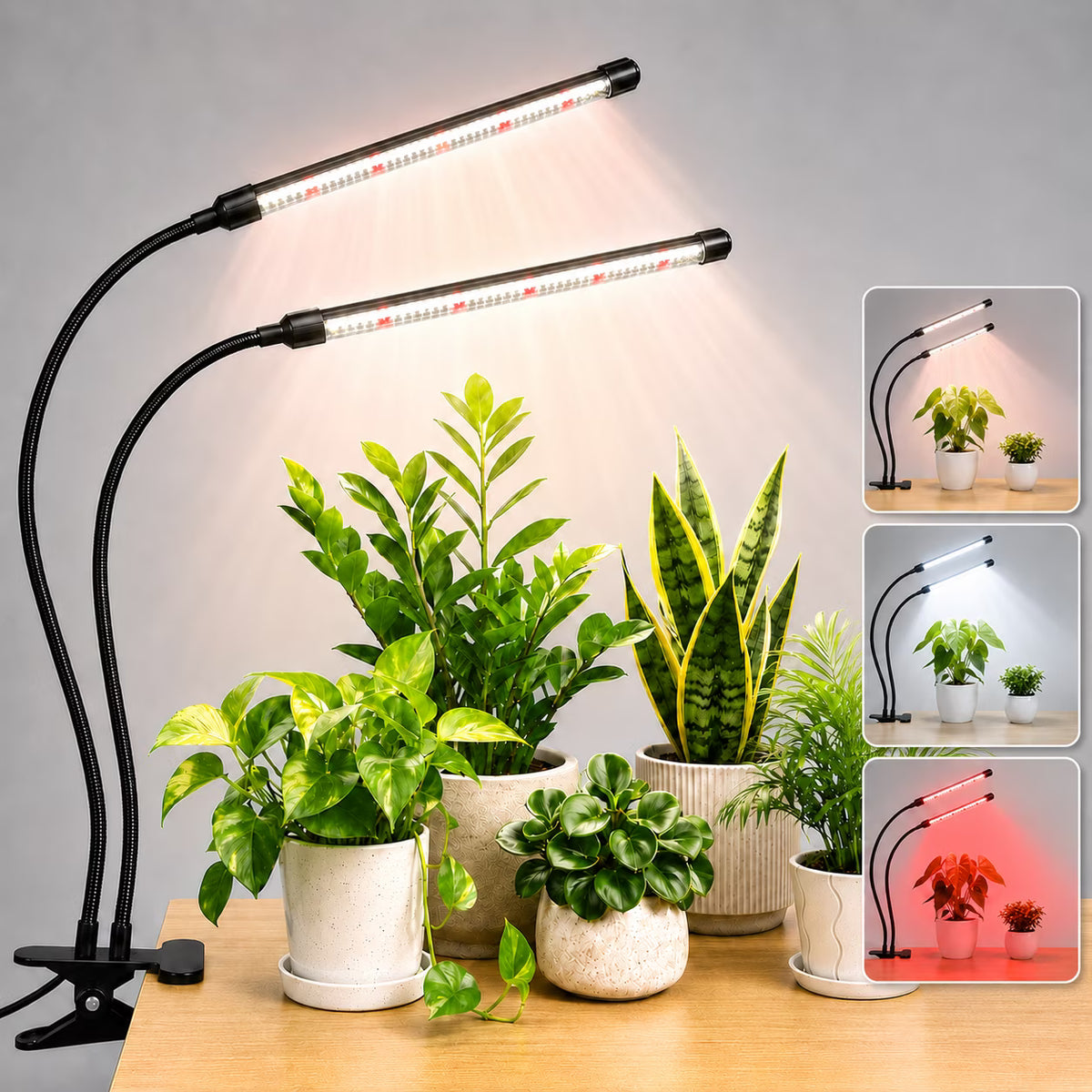 COSJM Grow Lights for Indoor Plants, 84 LEDs Full Spectrum White Red Clip Plant Growing Lamp with 3/9/12H Auto Timer, 10 Dimmable Levels, 3 Switch Modes, Flexible Gooseneck